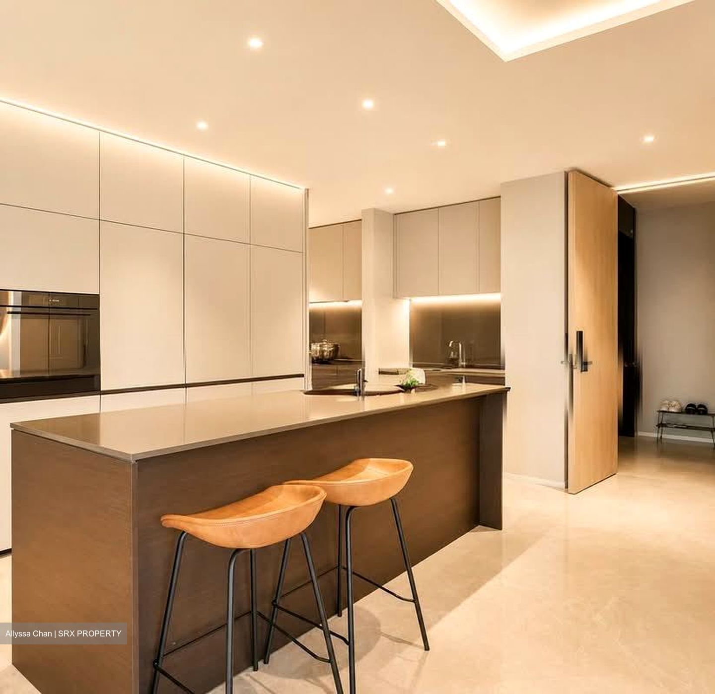 Amber Park (D15), Condominium #564615901